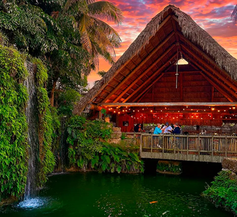 Schnebly Redland’s Winery with lush tropical greenery and a beautiful view of the vineyards